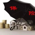 保险网销,便捷时代下的保险新选择