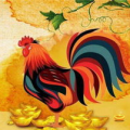 属鸡人的婚姻与命运,爱情与事业的双重挑战