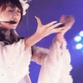 水树奈奈演唱会,声优歌姬的视听盛宴与粉丝的狂欢之旅”